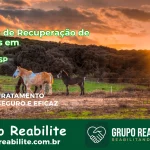 🚨 Clínica de Recuperação de Drogas em Itapuí - SP