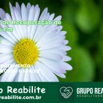 🚨 Clínica de Recuperação de Drogas em Itaú - RN