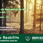 🚨 Clínica de Recuperação de Drogas em Jaguaribara - CE