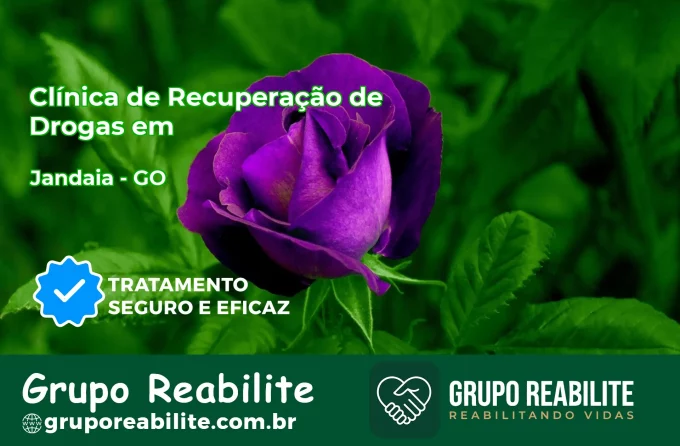 🚨 Clínica de Recuperação de Drogas em Jandaia - GO