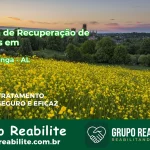 🚨 Clínica de Recuperação de Drogas em Japaratinga - AL