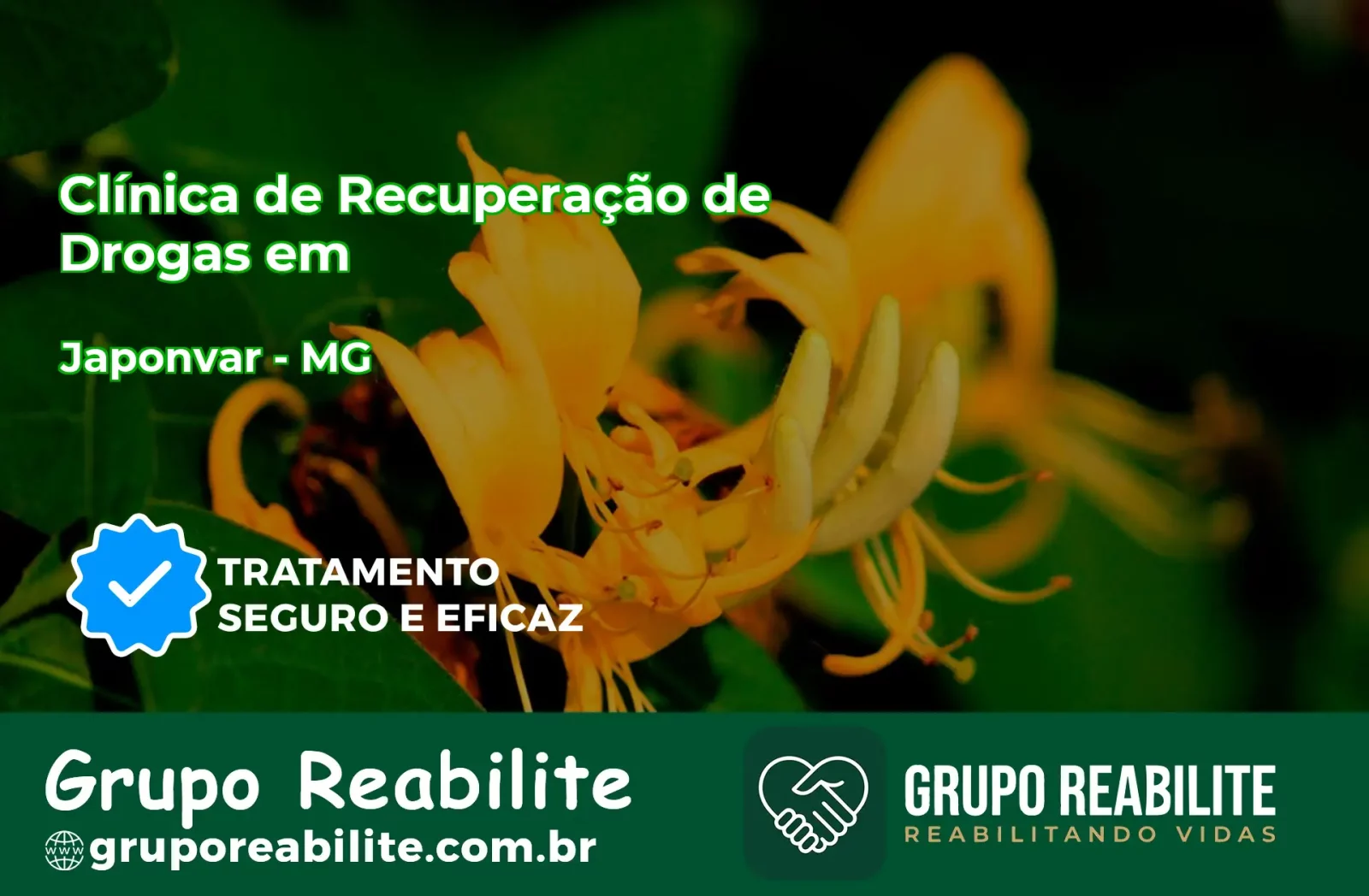 🚨 Clínica de Recuperação de Drogas em Japonvar - MG