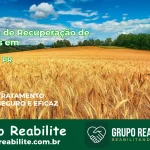 🚨 Clínica de Recuperação de Drogas em Japurá - PR