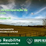 🚨 Clínica de Recuperação de Drogas em Joca Marques - PI