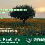 🚨 Clínica de Recuperação de Drogas em Jucati - PE