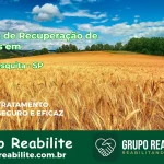 🚨 Clínica de Recuperação de Drogas em Júlio Mesquita - SP