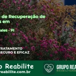 🚨 Clínica de Recuperação de Drogas em Landri Sales - PI