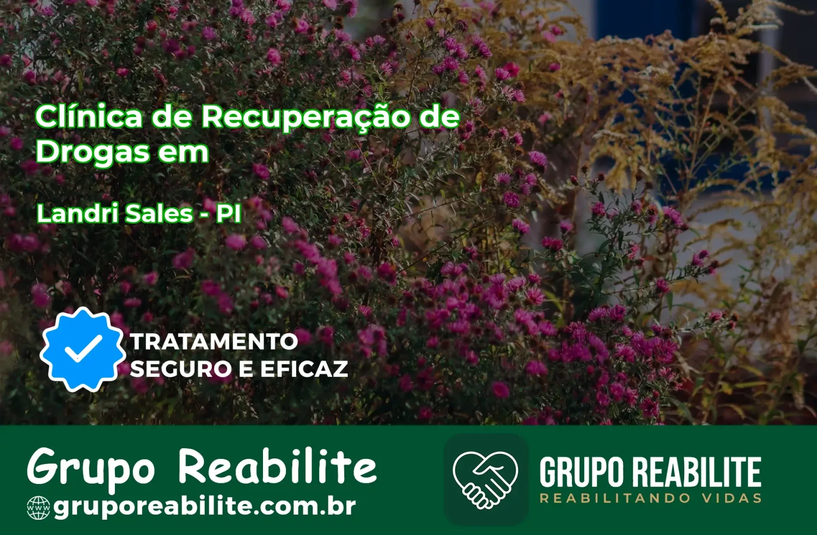 🚨 Clínica de Recuperação de Drogas em Landri Sales - PI