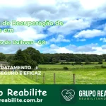 🚨 Clínica de Recuperação de Drogas em Leopoldo de Bulhões - GO