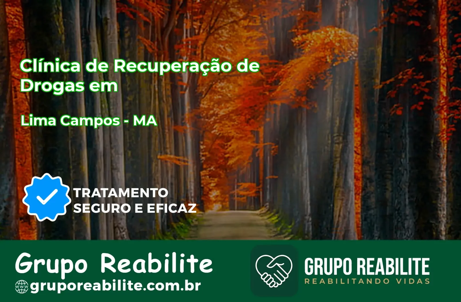 🚨 Clínica de Recuperação de Drogas em Lima Campos - MA