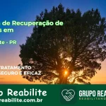🚨 Clínica de Recuperação de Drogas em Lindoeste - PR
