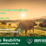 🚨 Clínica de Recuperação de Drogas em Livramento - PB
