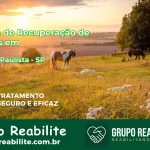 🚨 Clínica de Recuperação de Drogas em Marabá Paulista - SP