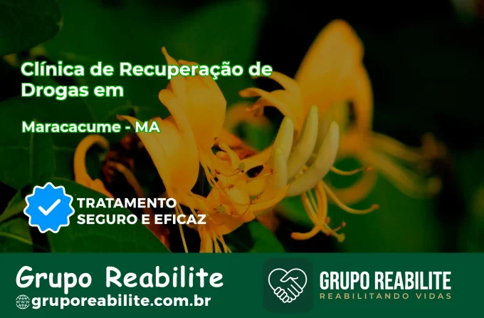 🚨 Clínica de Recuperação de Drogas em Maracaçumé - MA