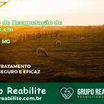 🚨 Clínica de Recuperação de Drogas em Matipó - MG