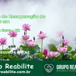🚨 Clínica de Recuperação de Drogas em Mauá da Serra - PR