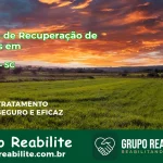 🚨 Clínica de Recuperação de Drogas em Meleiro - SC
