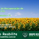 🚨 Clínica de Recuperação de Drogas em Milton Brandão - PI