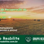 🚨 Clínica de Recuperação de Drogas em Mineiros - GO