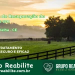 🚨 Clínica de Recuperação de Drogas em Missão Velha - CE