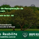 🚨 Clínica de Recuperação de Drogas em Monte Belo do Sul - RS