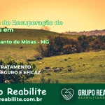 🚨 Clínica de Recuperação de Drogas em Monte Santo de Minas - MG