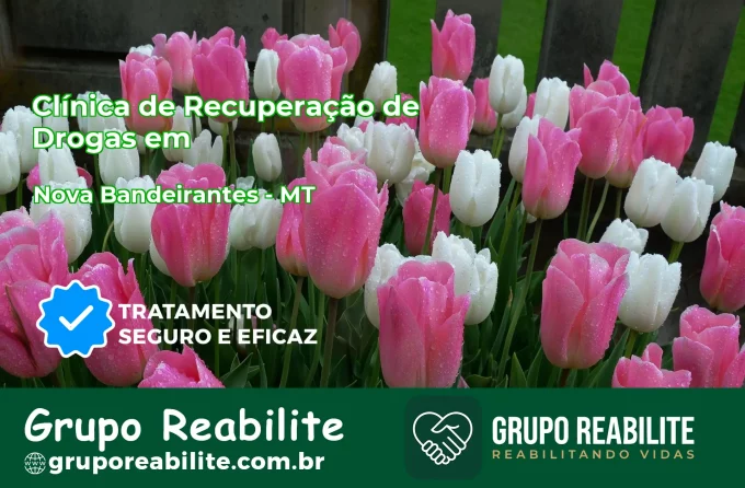 🚨 Clínica de Recuperação de Drogas em Nova Bandeirantes - MT