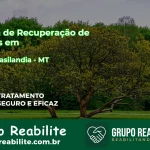 🚨 Clínica de Recuperação de Drogas em Nova Brasilândia - MT