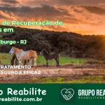 🚨 Clínica de Recuperação de Drogas em Nova Friburgo - RJ
