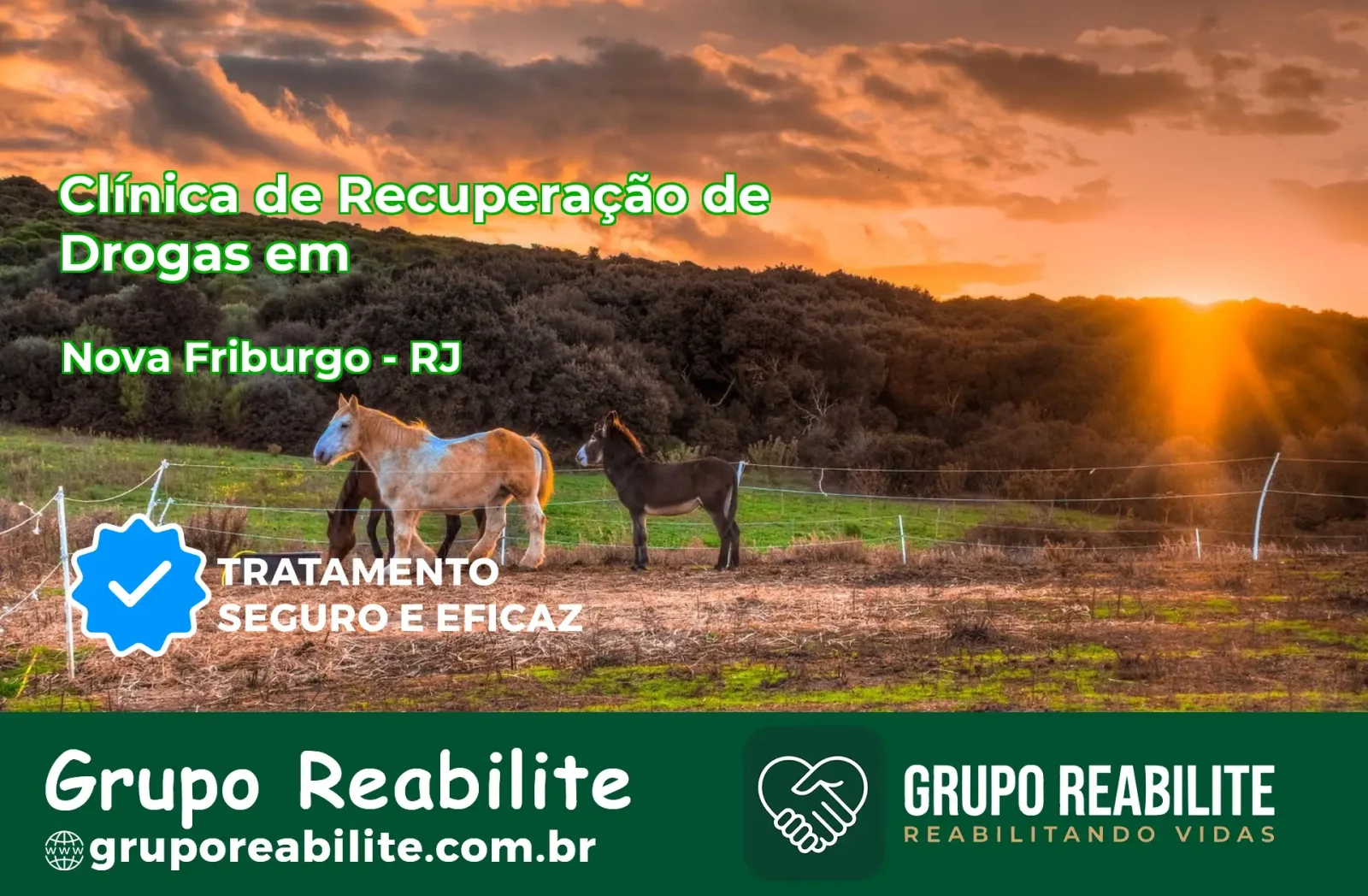 🚨 Clínica de Recuperação de Drogas em Nova Friburgo - RJ