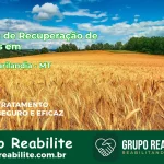 🚨 Clínica de Recuperação de Drogas em Nova Marilândia - MT