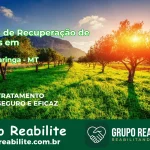 🚨 Clínica de Recuperação de Drogas em Nova Maringá - MT