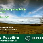 🚨 Clínica de Recuperação de Drogas em Nova União - MG