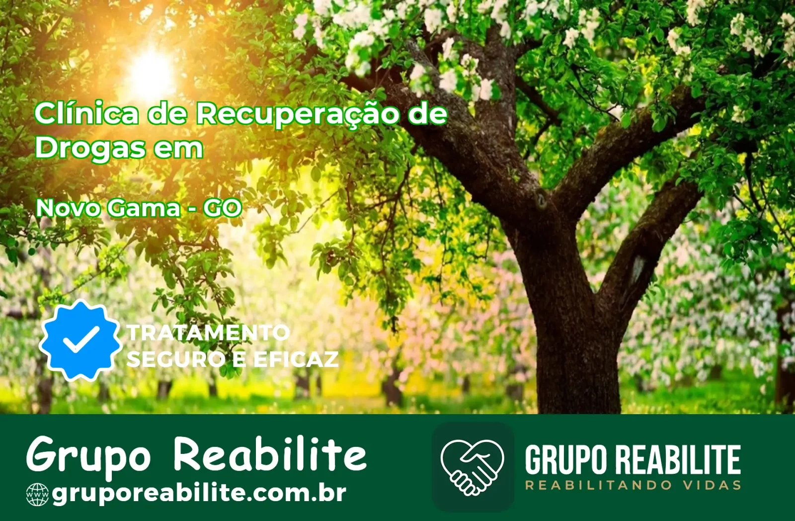 🚨 Clínica de Recuperação de Drogas em Novo Gama - GO