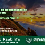 🚨 Clínica de Recuperação de Drogas em Novo Oriente do Piauí - PI