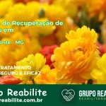 🚨 Clínica de Recuperação de Drogas em Novorizonte - MG