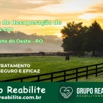 🚨 Clínica de Recuperação de Drogas em Ouro Preto do Oeste - RO
