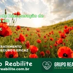 🚨 Clínica de Recuperação de Drogas em Ouro - SC
