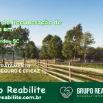 🚨 Clínica de Recuperação de Drogas em Ouro Verde - SC