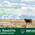 🚨 Clínica de Recuperação de Drogas em Paço do Lumiar - MA