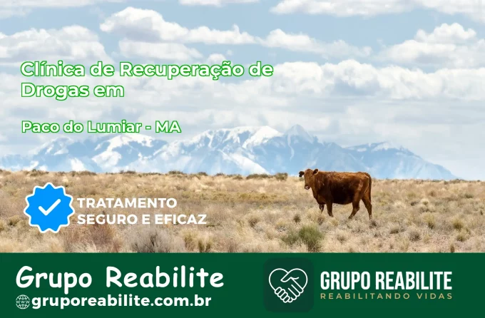 🚨 Clínica de Recuperação de Drogas em Paço do Lumiar - MA