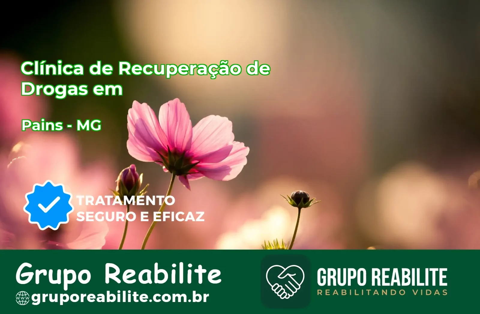 🚨 Clínica de Recuperação de Drogas em Pains - MG