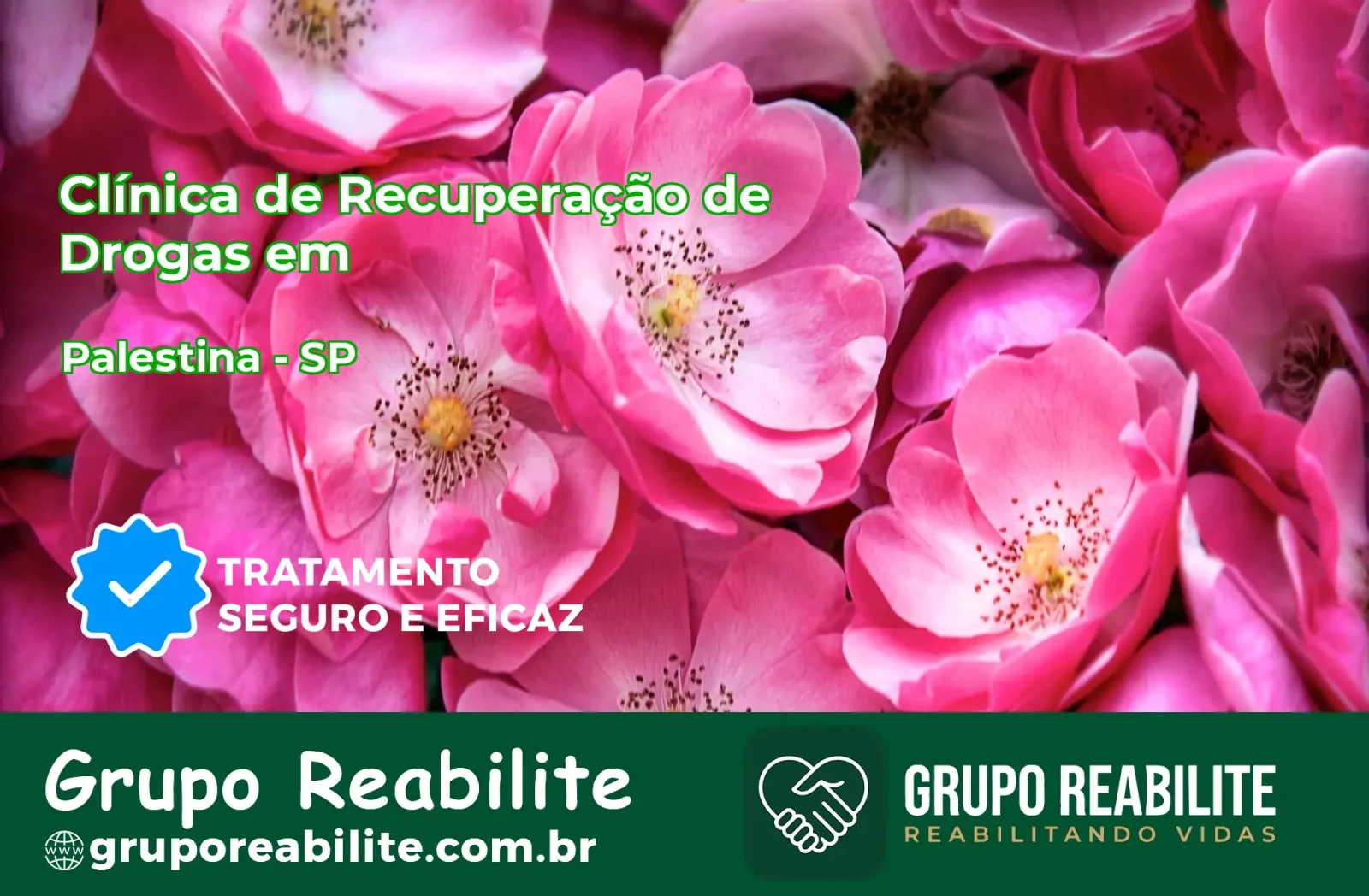 🚨 Clínica de Recuperação de Drogas em Palestina - SP