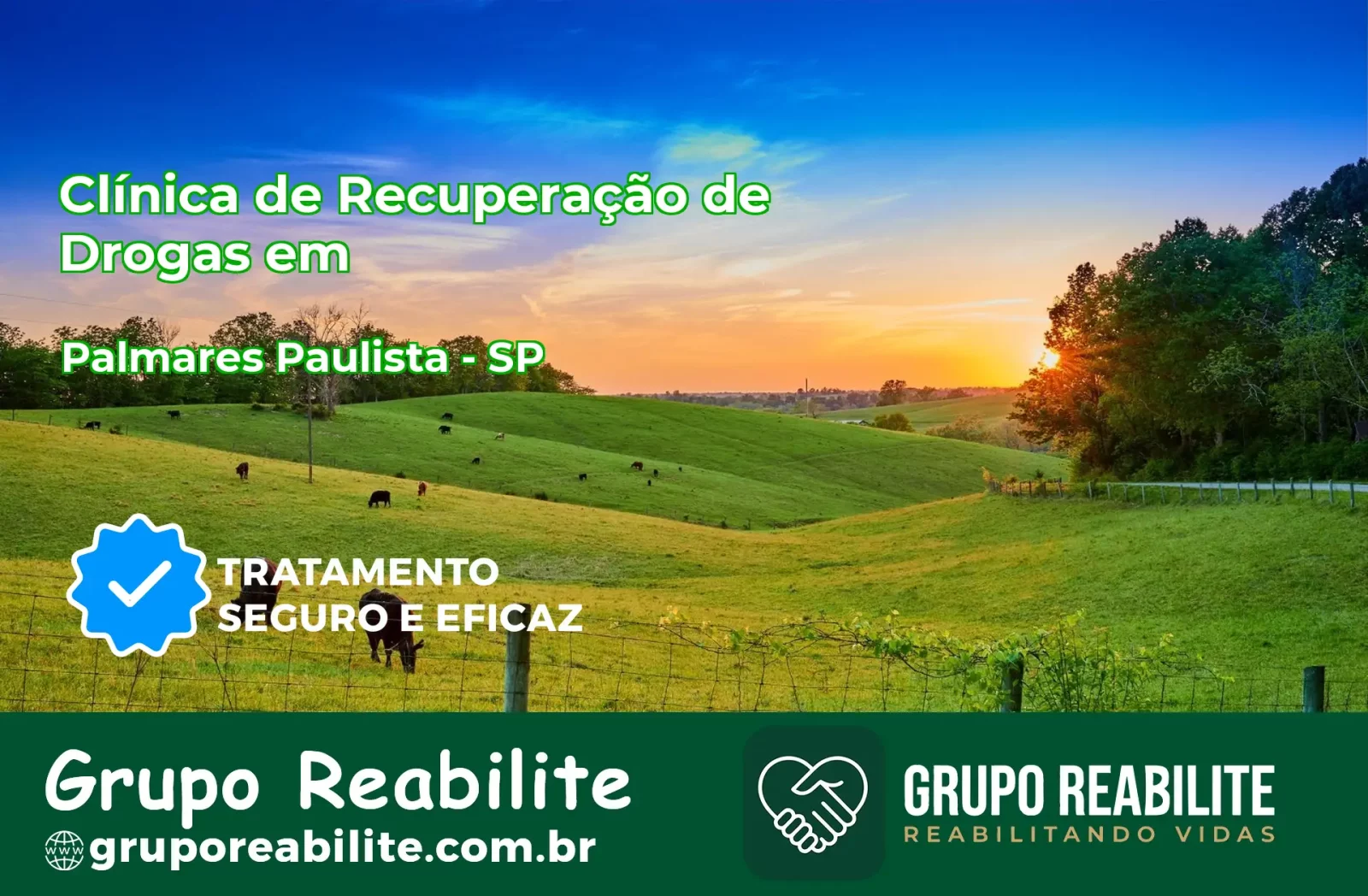 🚨 Clínica de Recuperação de Drogas em Palmares Paulista - SP