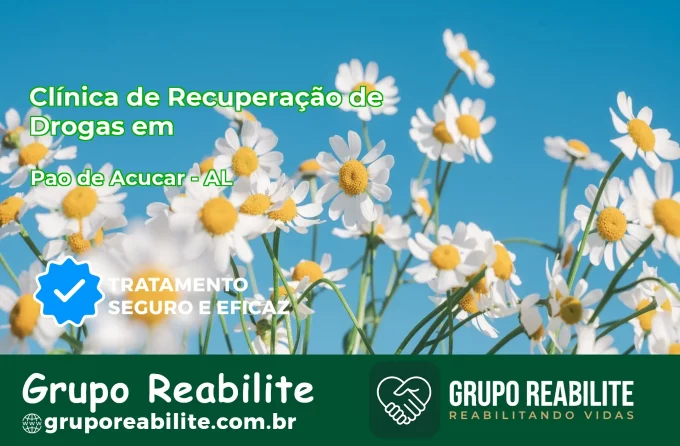 🚨 Clínica de Recuperação de Drogas em Pão de Açúcar - AL