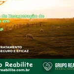 🚨 Clínica de Recuperação de Drogas em Parisi - SP