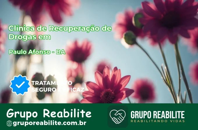 🚨 Clínica de Recuperação de Drogas em Paulo Afonso - BA