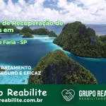 🚨 Clínica de Recuperação de Drogas em Paulo de Faria - SP