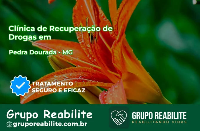 🚨 Clínica de Recuperação de Drogas em Pedra Dourada - MG