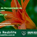 🚨 Clínica de Recuperação de Drogas em Pedregulho - SP